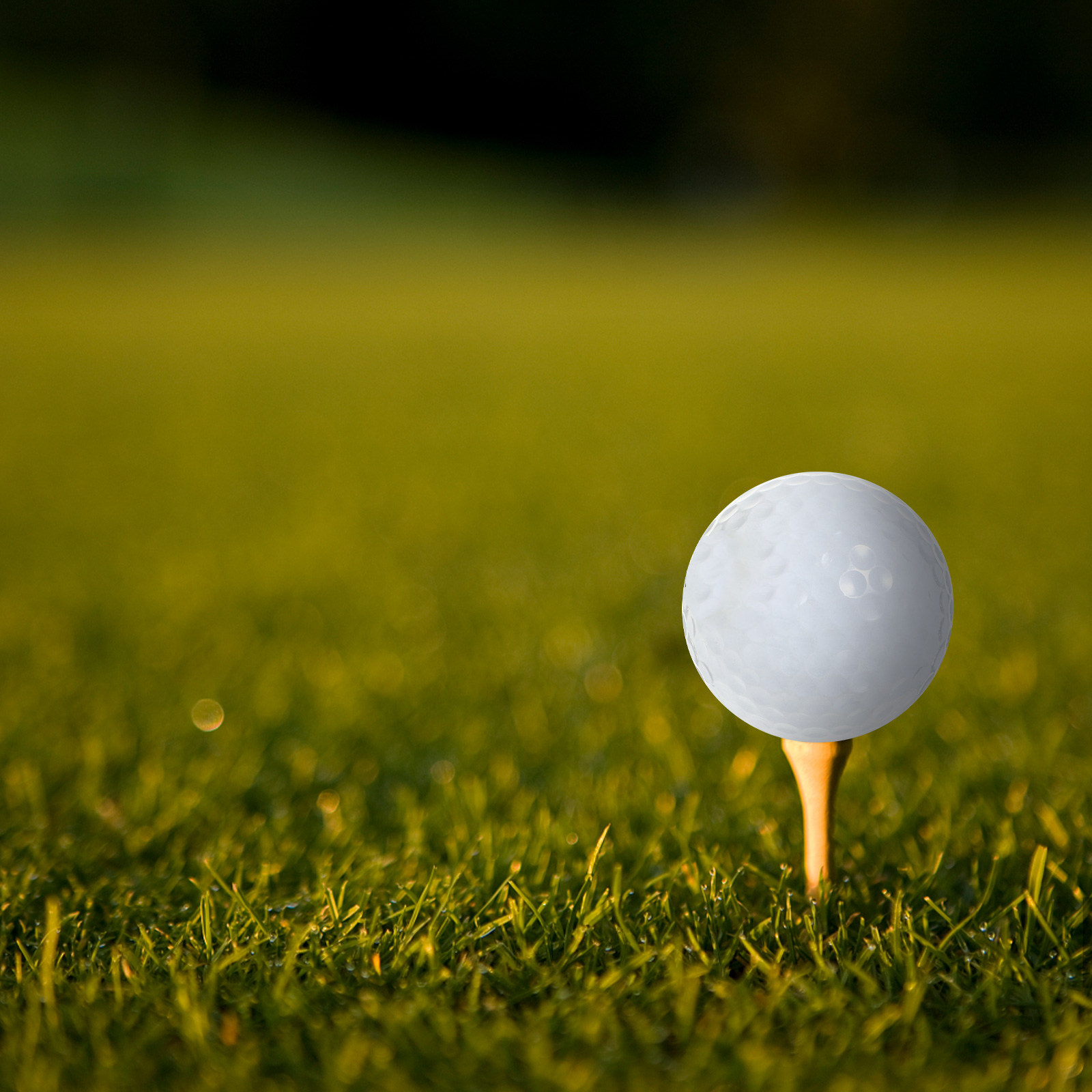 Palline da golf per pratica in - Golf Equipment For Beginners recensione e prezzo